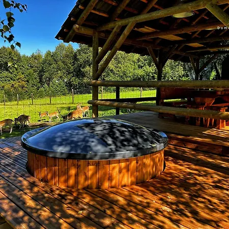 Domek Klimkowka بيت خشبي *