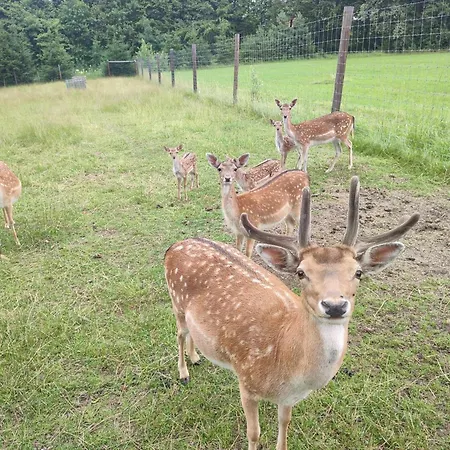 بيت خشبي Domek Klimkowka