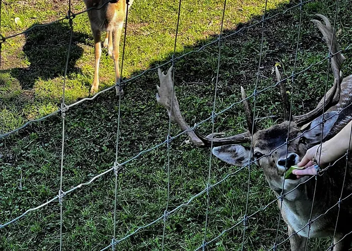 Domek Klimkowka Lodge Klimkówka